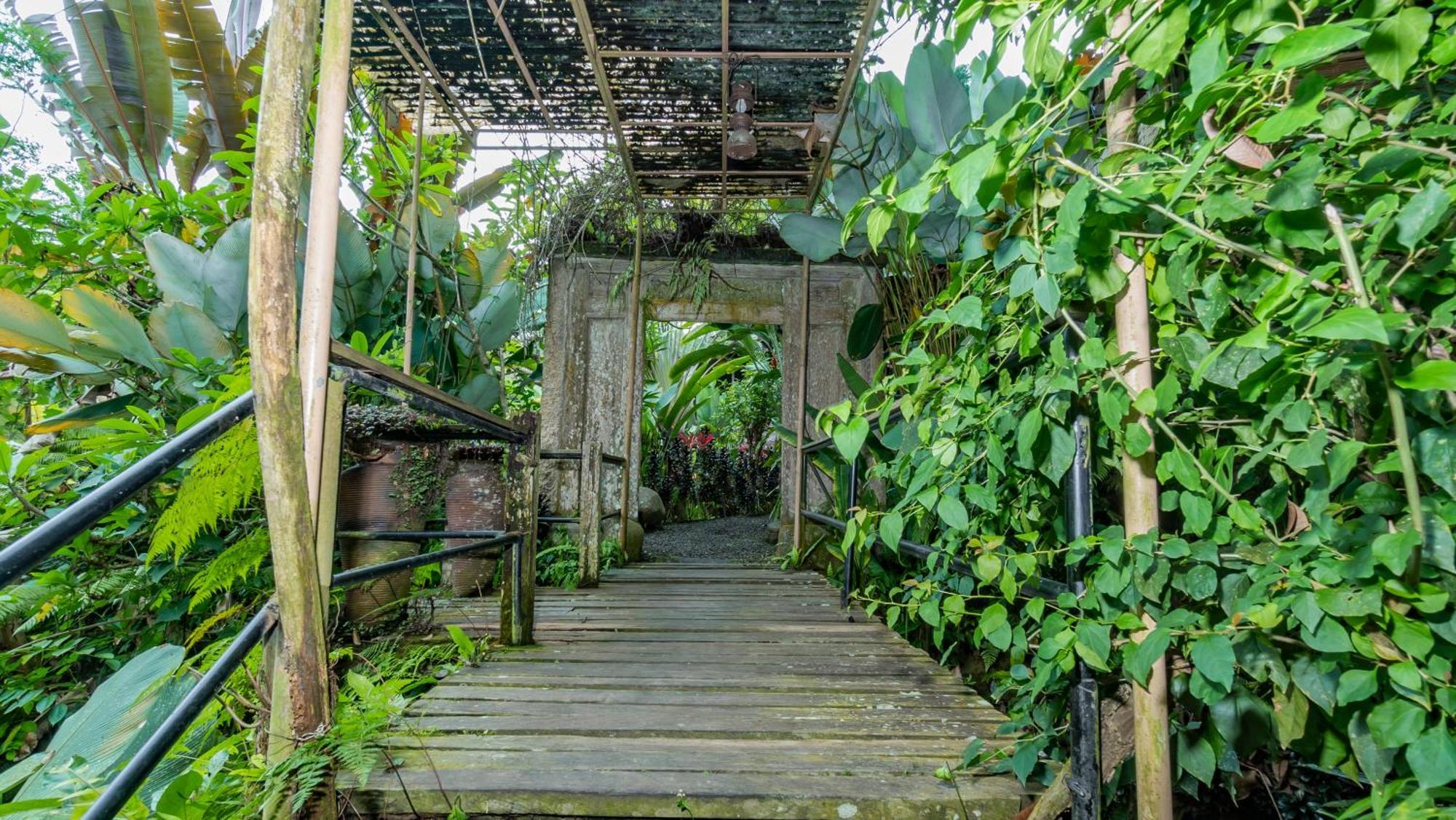 Umah Tis Sebatu Vila Tegallalang  Exterior foto