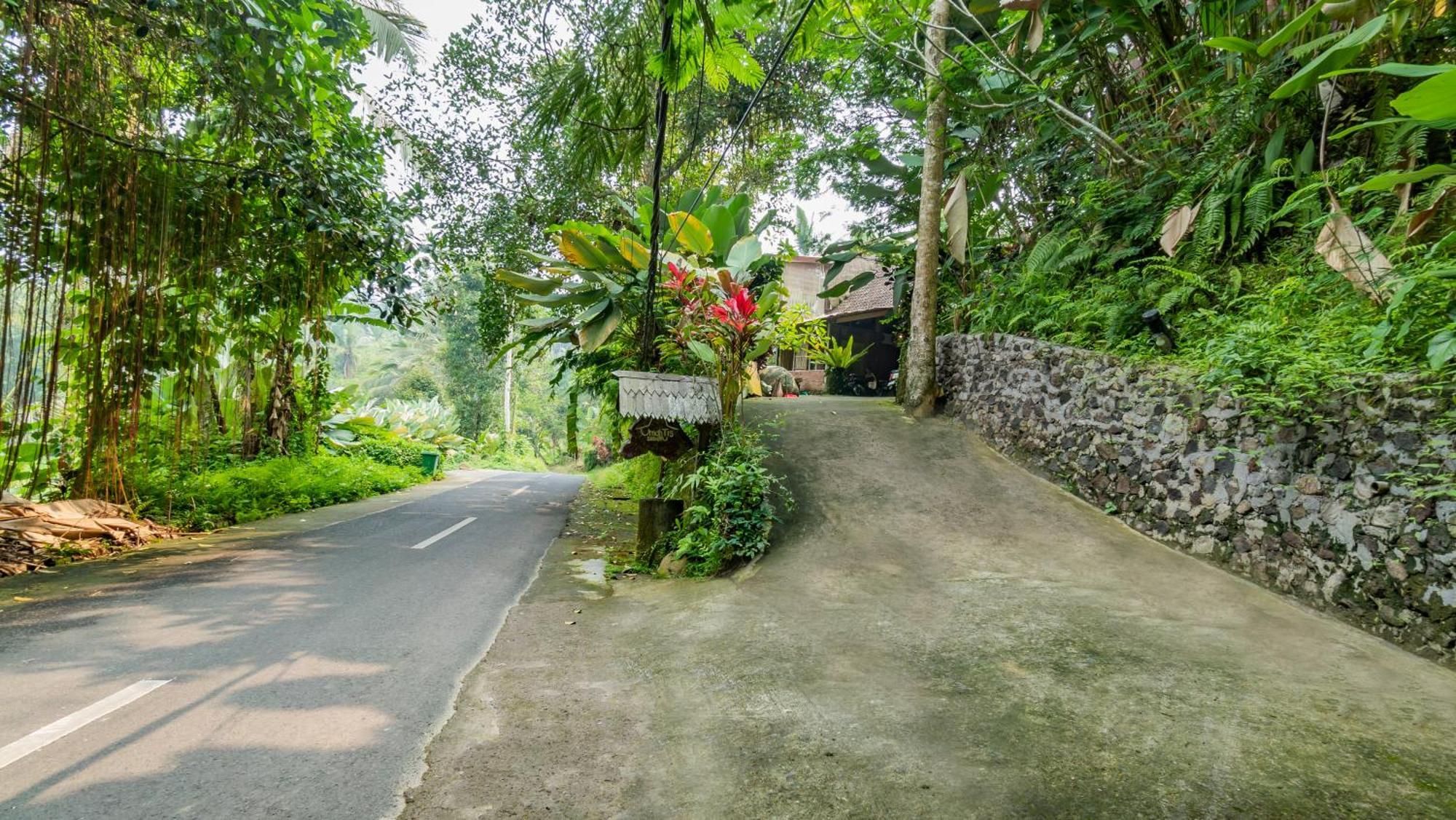 Umah Tis Sebatu Vila Tegallalang  Exterior foto
